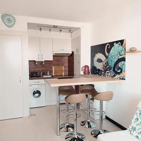Cosy 2p A 200m De La Avec Parking - 4 Pers, - Fr-1-776-28 * ארגלס-סור-מר