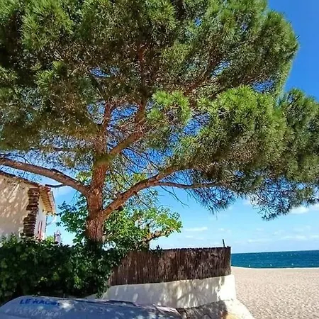 Cosy 2p A 200m De La Avec Parking - 4 Pers, - Fr-1-776-28 Apartment Argeles-sur-Mer