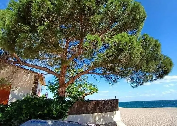 Cosy 2p A 200m De La Avec Parking - 4 Pers, - Fr-1-776-28